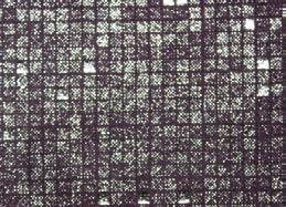 F49 pixel